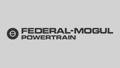 Team Constructions Webseite Referenzen Logos Federal Mogul Powertrain BW